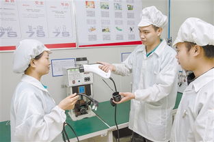 技術賦能未來 江門數字化發展的新篇章